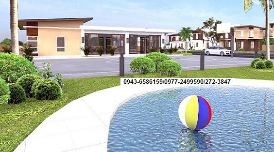 Basketball Court and Swimming Pool