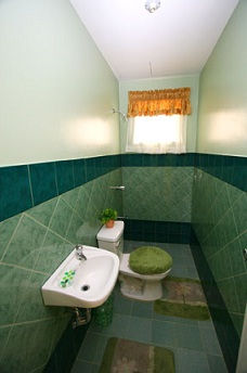 View of Common Toilet and Bath