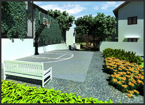 Basketball Court