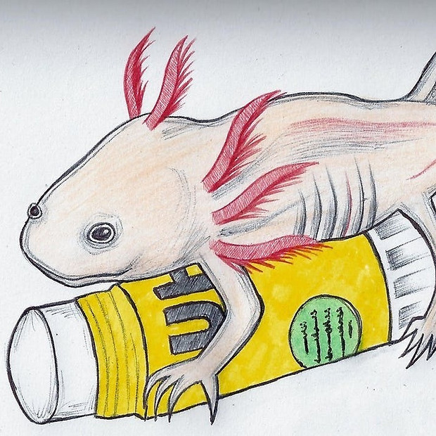 axolotl_edited_edited.jpg