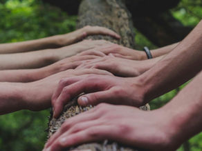 Building Strong Teams in a Virtual World: Remote Work Best Practices
