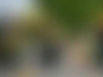 Top Reasons to Support Volunteer Fire and EMS: How Spaying and Neutering Your Pets Can Make a Difference