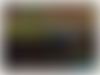 The Sims 4 Cottage Living: Canning