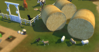 TS4 Sims Custom Content Goats and Sheep