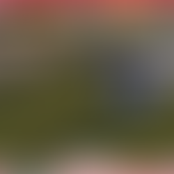 TS4 Sims 4 custom content farm animal dairy cow
