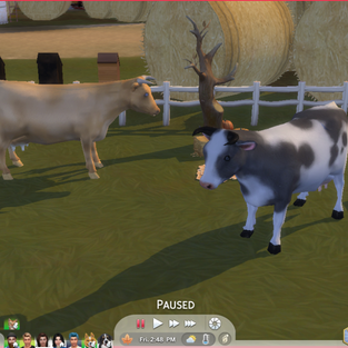 TS4 Sims 4 custom content farm animal dairy cow