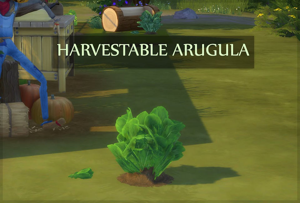 TS4 Sims 4 custom content harvestable arugula