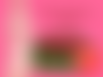 Sims 4: Strawberry Set