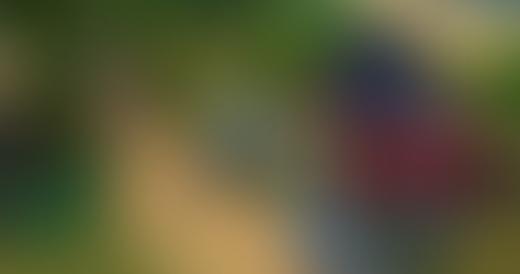 TS4 Sims 4 Farming Farmland Farm Custom Content