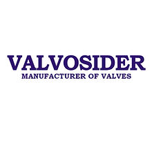 Valvosider logo(1)_edited.jpg