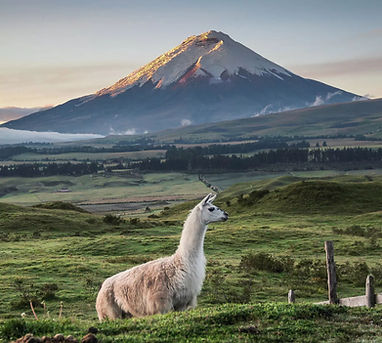 ecuador-cotopaxi_edited.jpg