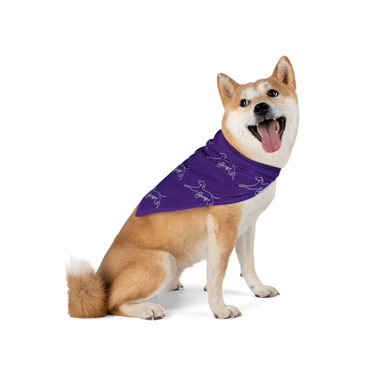 Pet Bandana