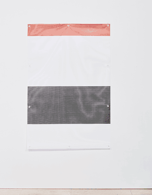 erik haemers mesh2 gif