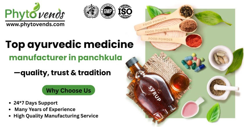 Herbal Medicine Manufacturing Company in Panchkula: Digital Marketing, Online Branding & Lead Generation Guide