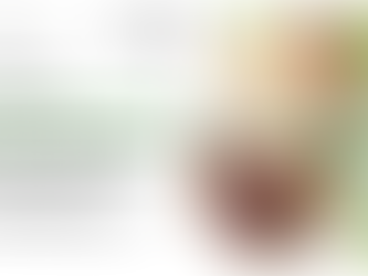 Ayurvedic Medicine Manufacturer in Punjab: Advancing Traditional Healthcare with Modern Standards