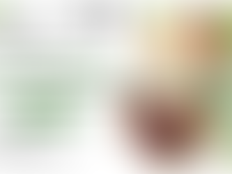 Ayurvedic Medicine Manufacturer in Baddi, Himachal Pradesh – Quality Herbal Manufacturing Services