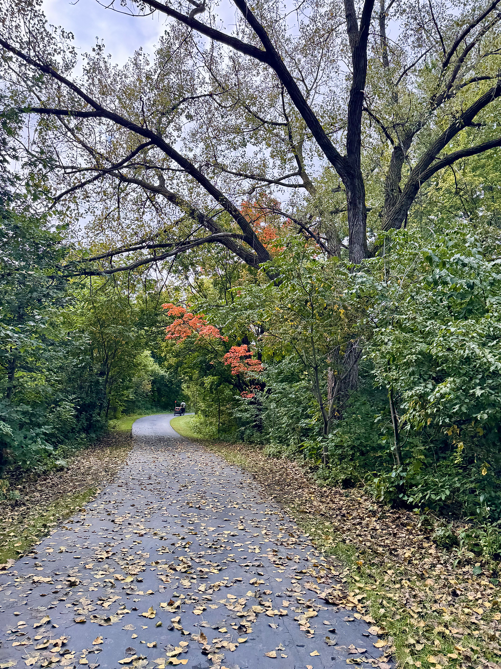 Euphree City Robin E-bike and Burley Cub X Trailer for Kids