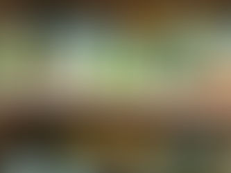 Getting Snowed In? It’s the Perfect Time to Start Planning Your Garden!