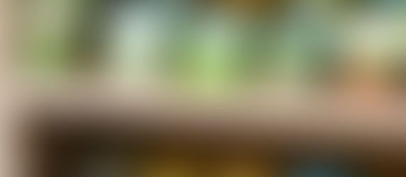 Getting Snowed In? It’s the Perfect Time to Start Planning Your Garden!