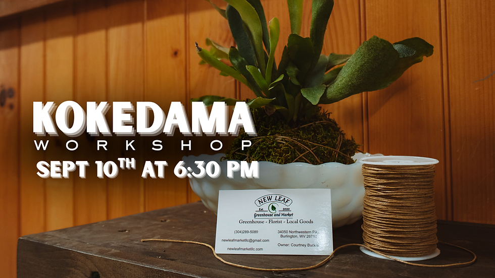Kokedama Workshop