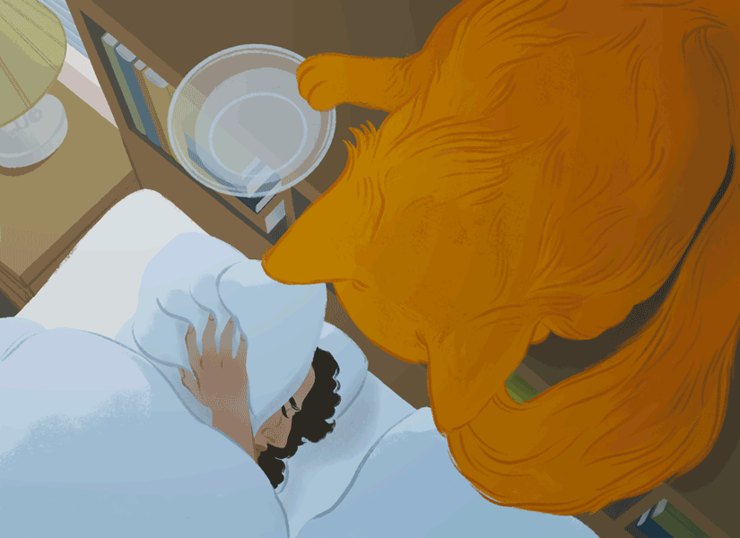 Why do cats like to knock things over?
