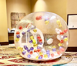 Rent Bubble house