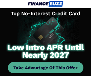 Image for Top No-Interest Credit Card that reads 'Take Advantage of This Offer'