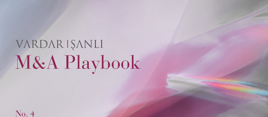 M&A Playbook No.4