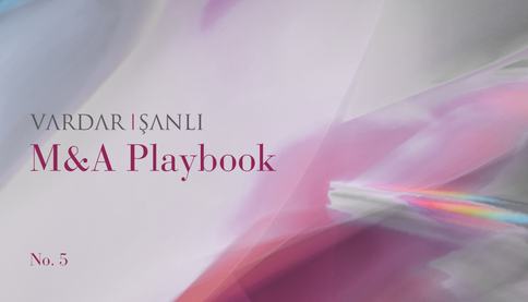 M&A Playbook No.5