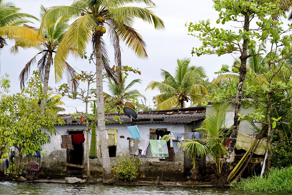 Alappuzha - Backwater - Kerala
