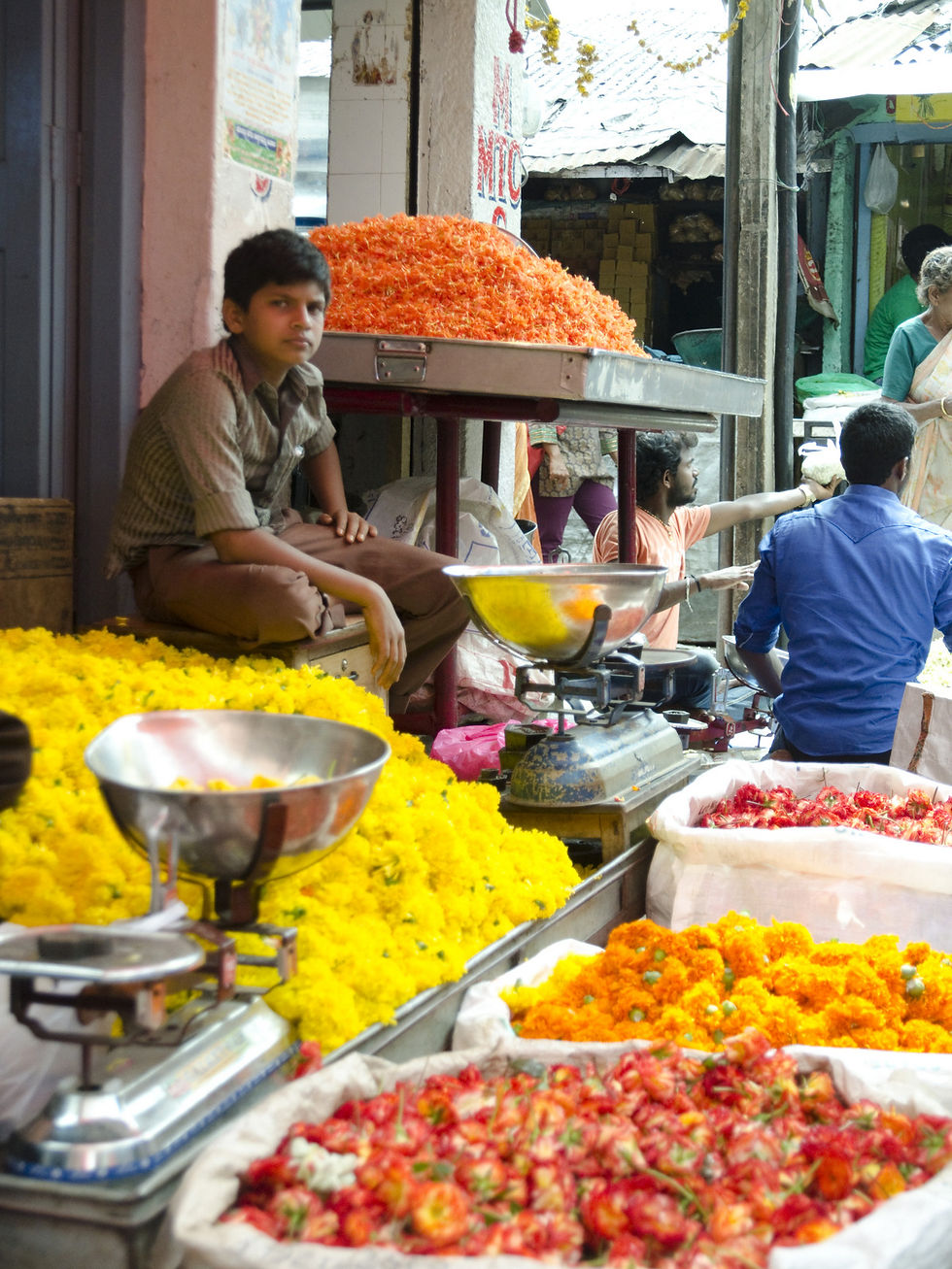 Mysore - Karnataka