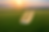 Screenshot 2026-05-18 123229.png