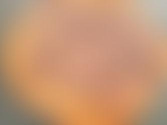 Gâteau aux haricots blancs / chocolat