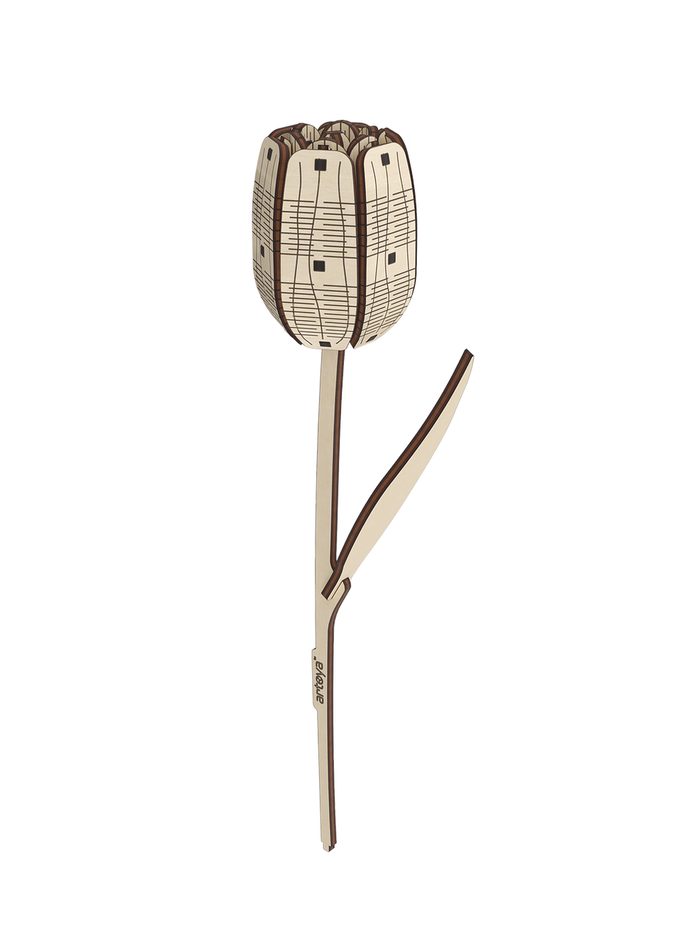 Miniatura: Tulip