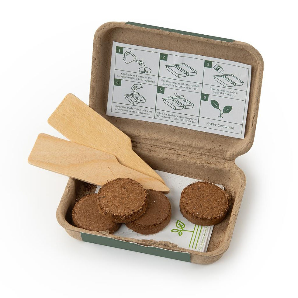 Thumbnail: Mini Growing Kits
