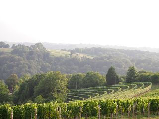 The Unafraid Storyteller In France!