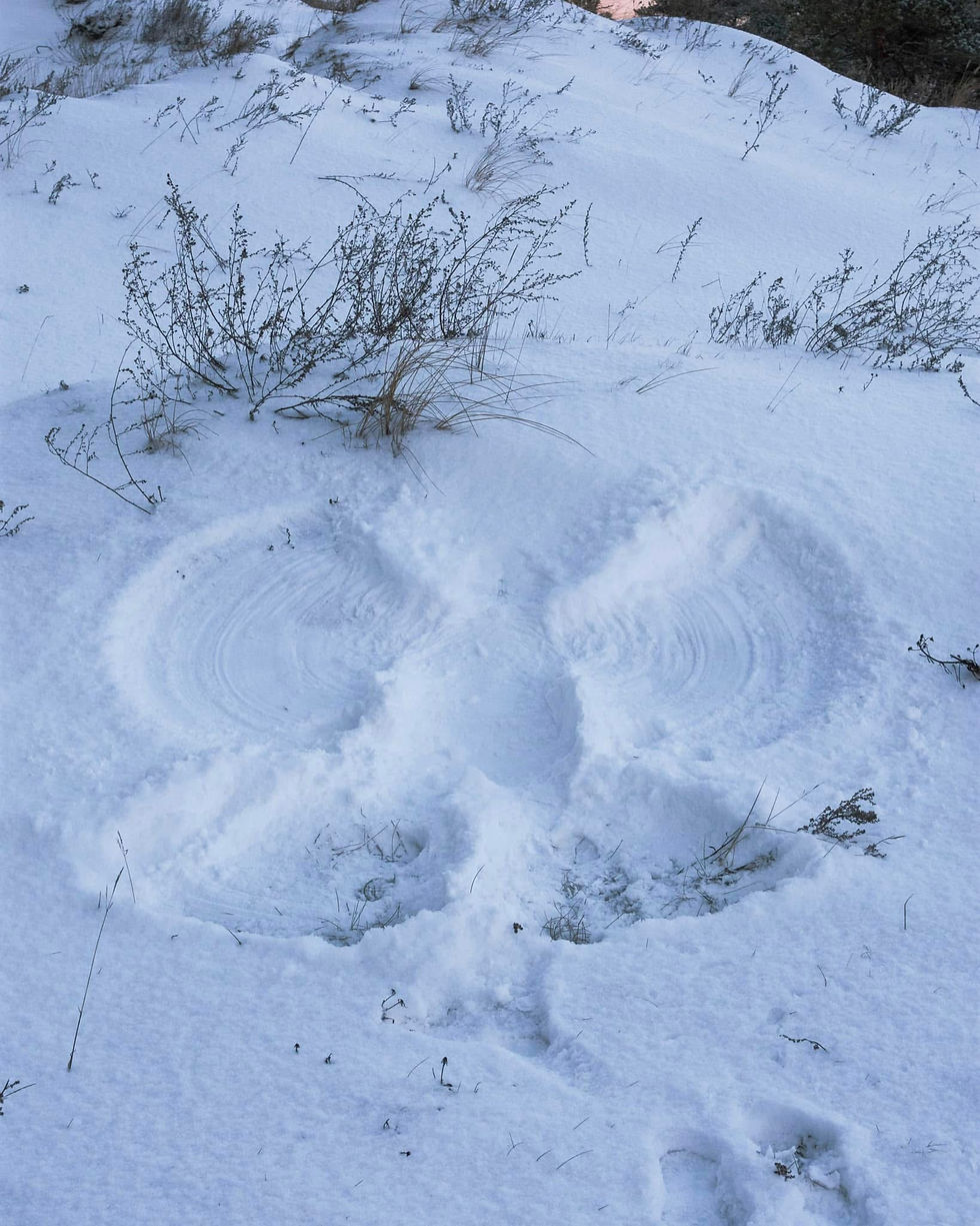 Writing Snow Angels: Three Online Nights of Writing Together