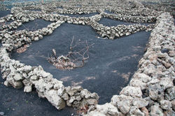 385425_194156504014096_42389945_n