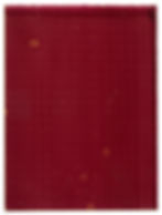 Stolz Light-Image #12, 2018