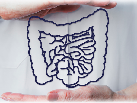 E-book: conhecendo a microbiota intestinal