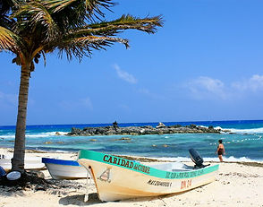 cozumel wild side.jpg