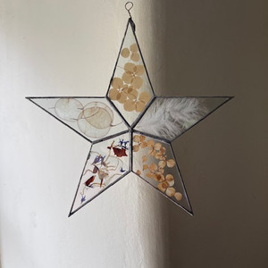 Star Natural Form