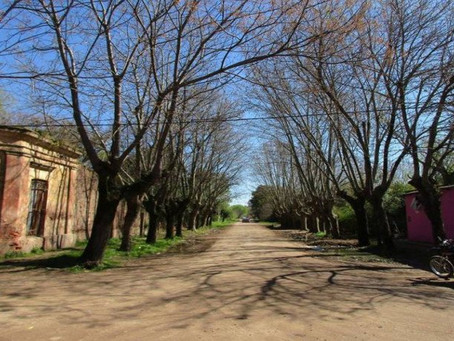 Crean programa para atender las violencias por razones de género en ámbitos rurales e isleños