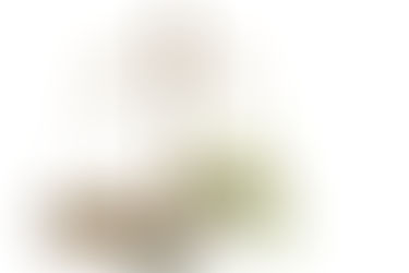 Tax Resolution - Know Your Rights.