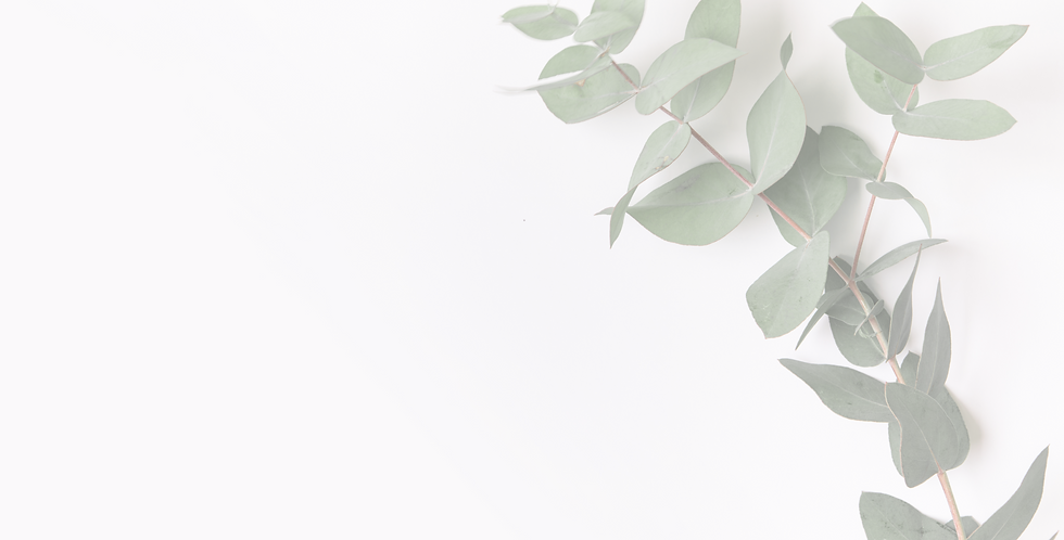 website plant banner.PNG