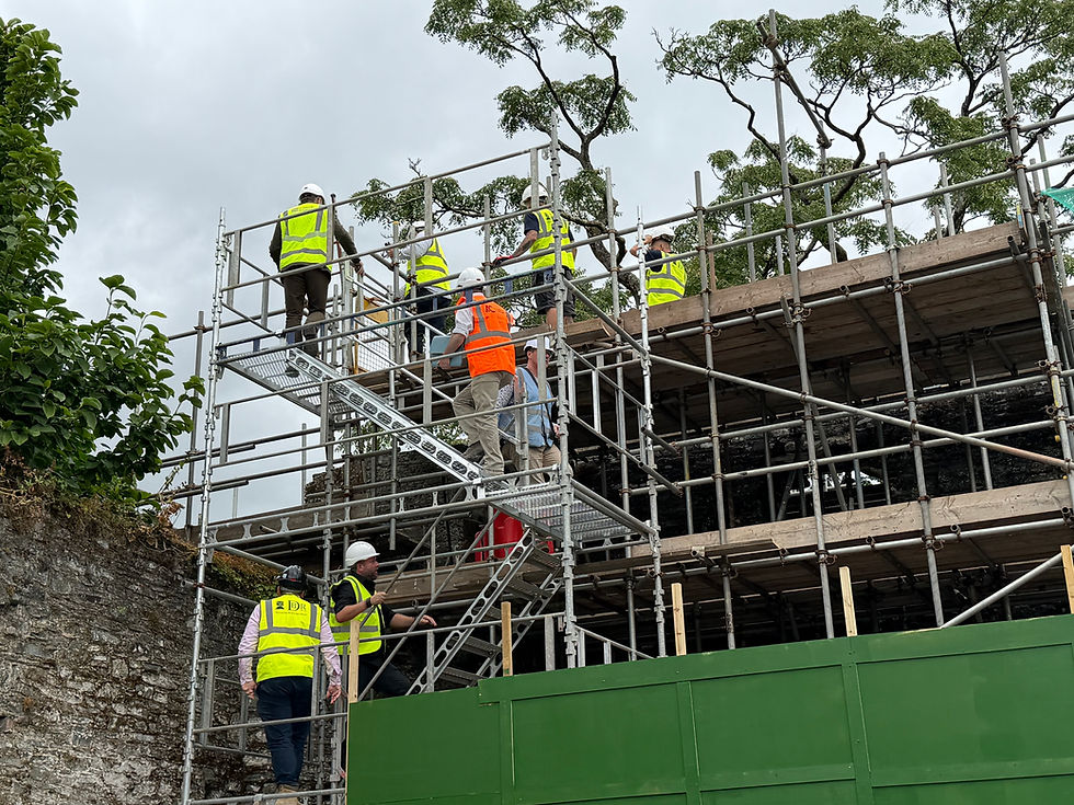 Get hands-on with Tavistock’s heritage: free conservation sessions with DBR