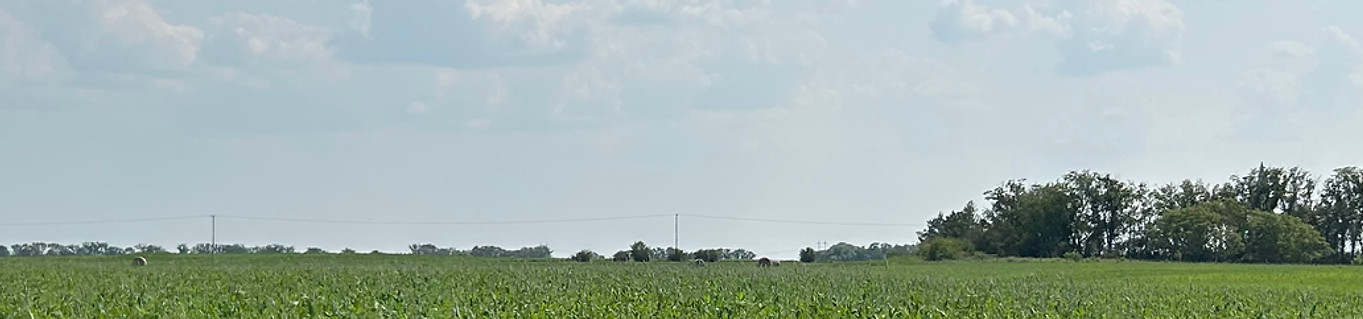 IMG_0803.jpg