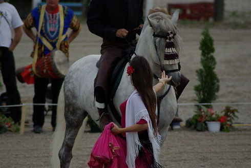 horse flamenco nat 07.jpeg