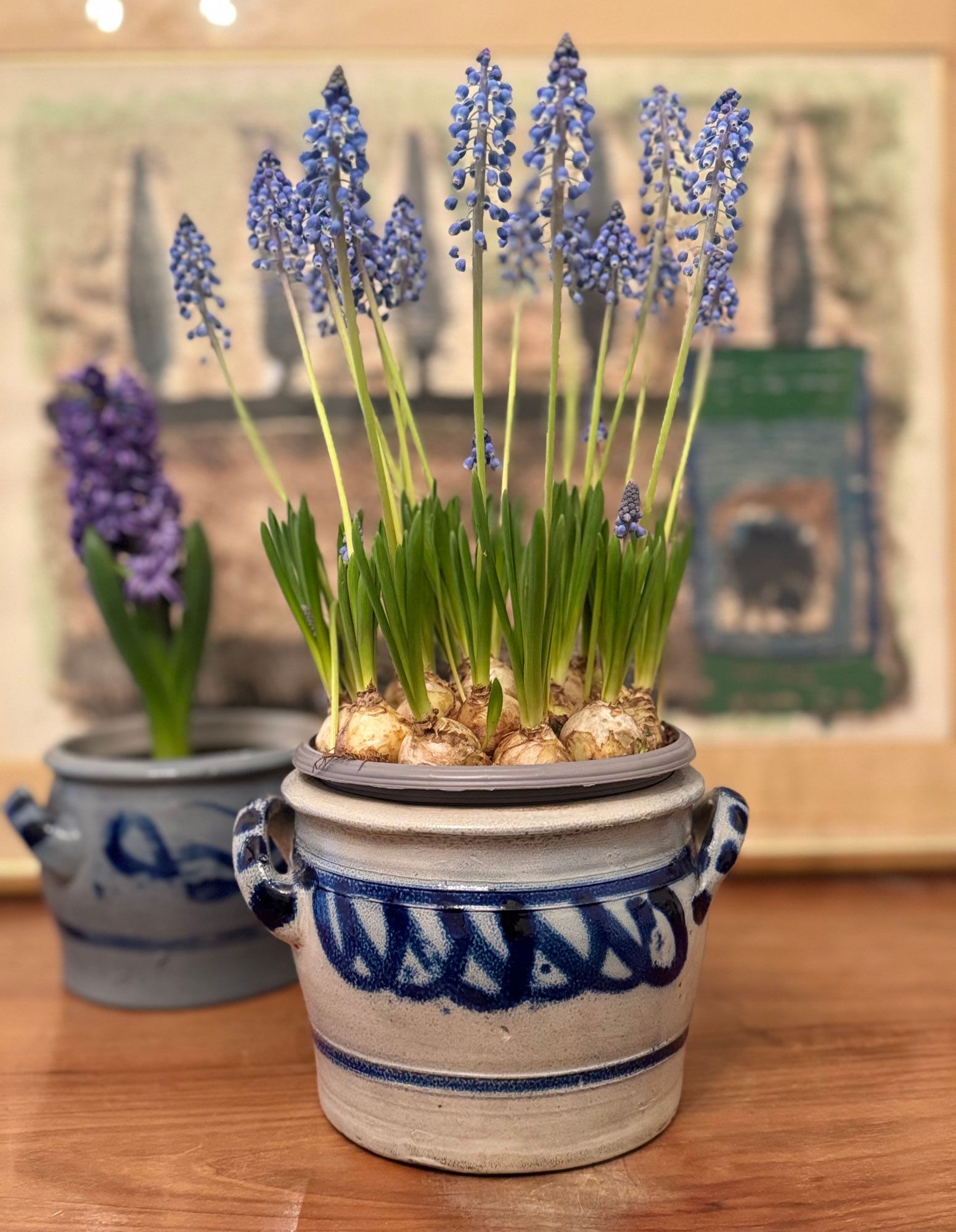 הרולד - כלי חרס גרמני עתיק שימור מזון