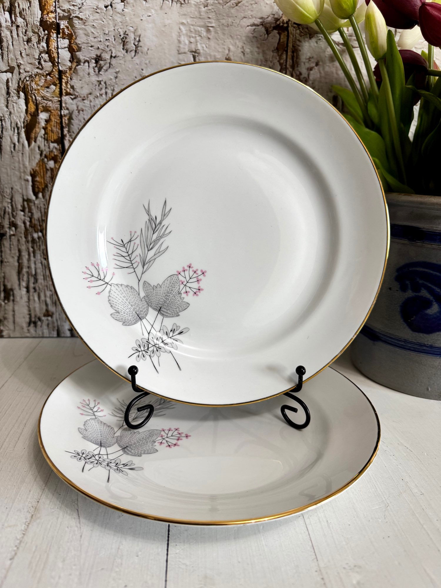 נעמה - צלחות פורצלן של המפעל נעמן קרמיקה ישראלית 23.5 סמ